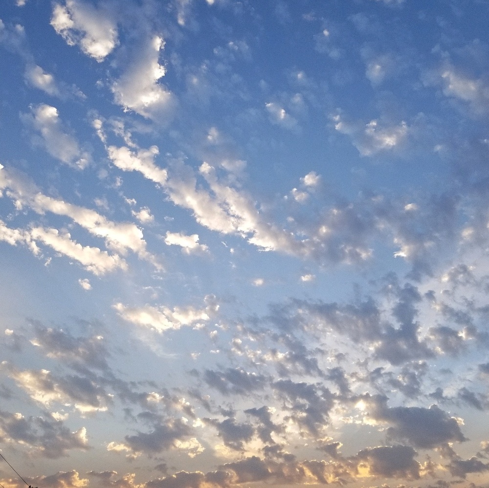 Meet your Posher, Stani